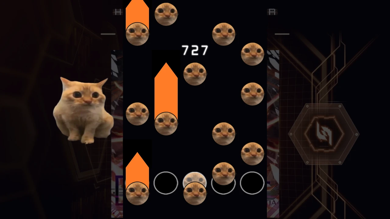 5K